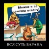 Вся суть барана Вся суть барана