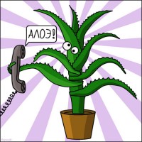 ало э)))))