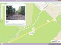 бывшая дорога от Фестивальной до Еловского пруда
