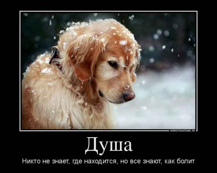 Душа