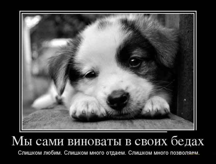 Вина