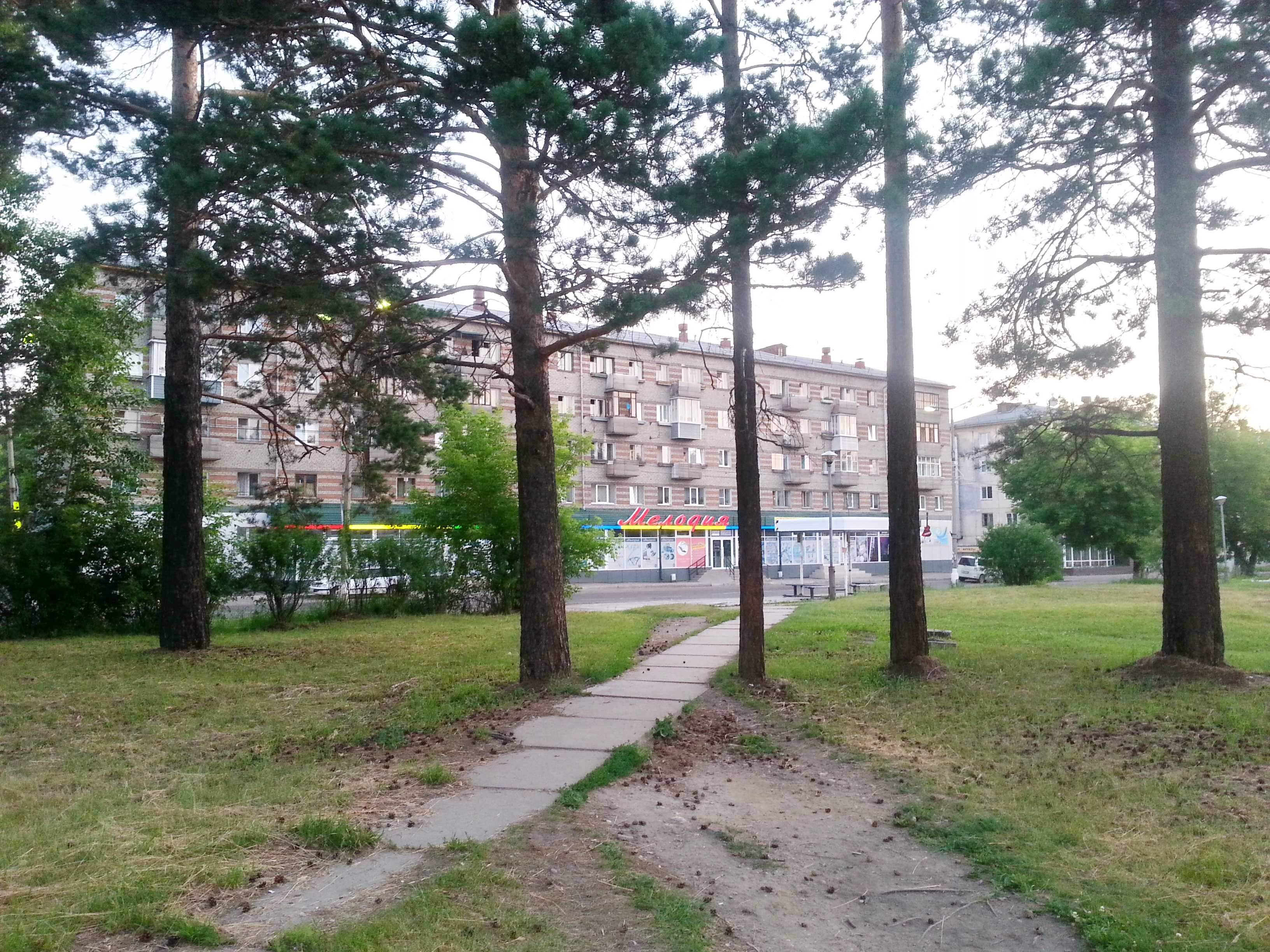 Мелодия в 6 утра)))))