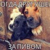 Друг ушел за пивом