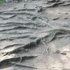 IMG 0820