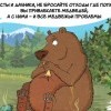 Медвежьи проблемы