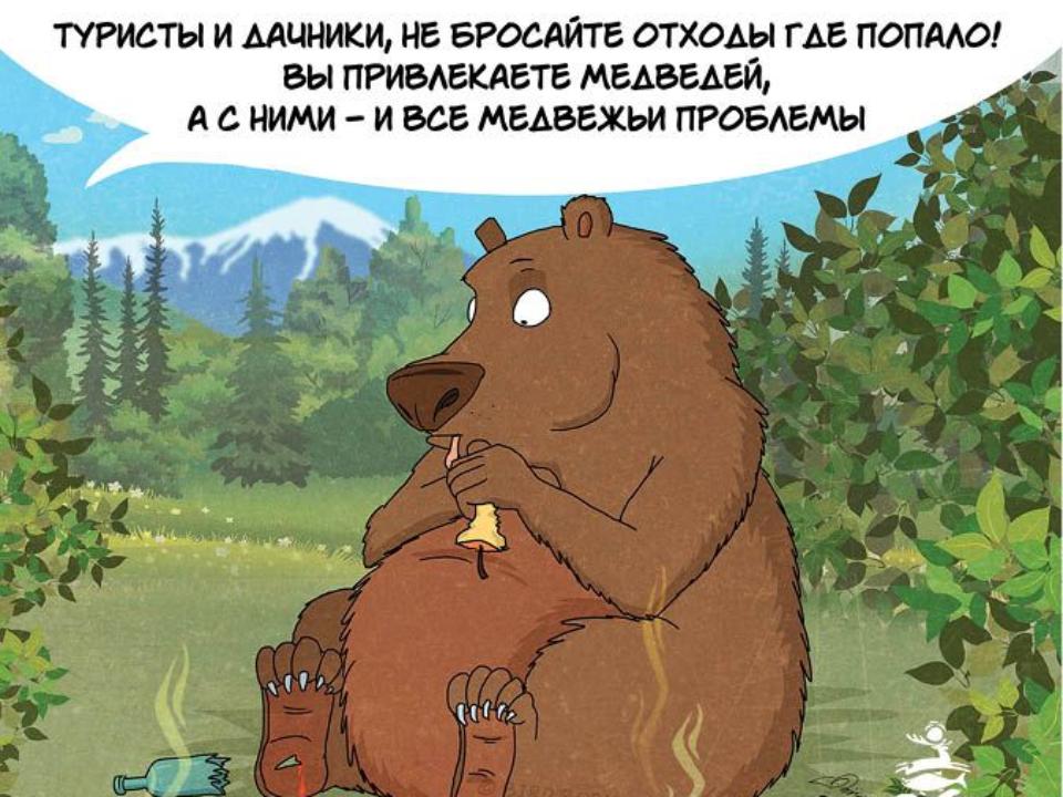 Медвежьи проблемы