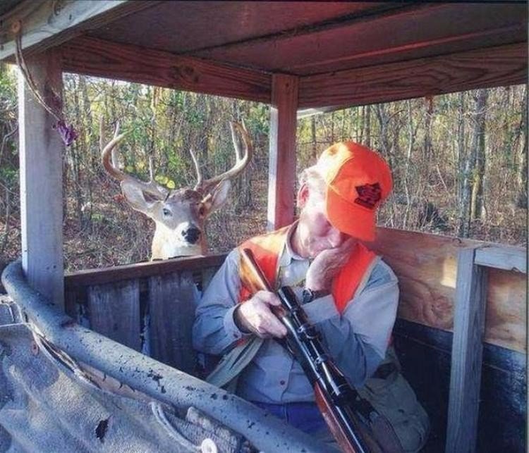 Везучий олень