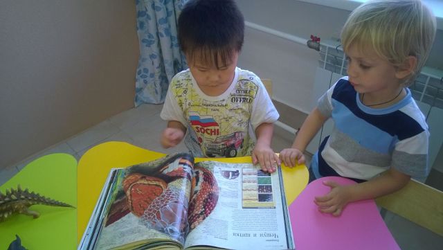 Image (4)