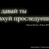 Гифки-живность-беркут-1955947