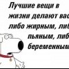 Лучшие веши