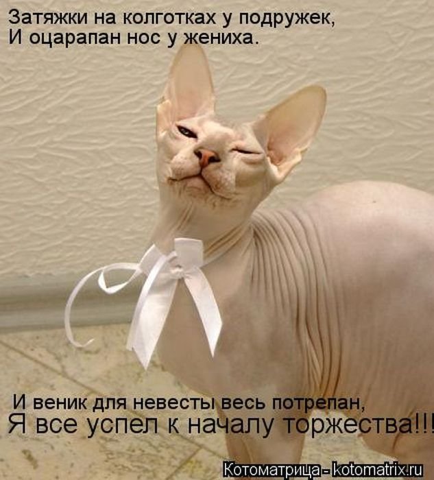 )))