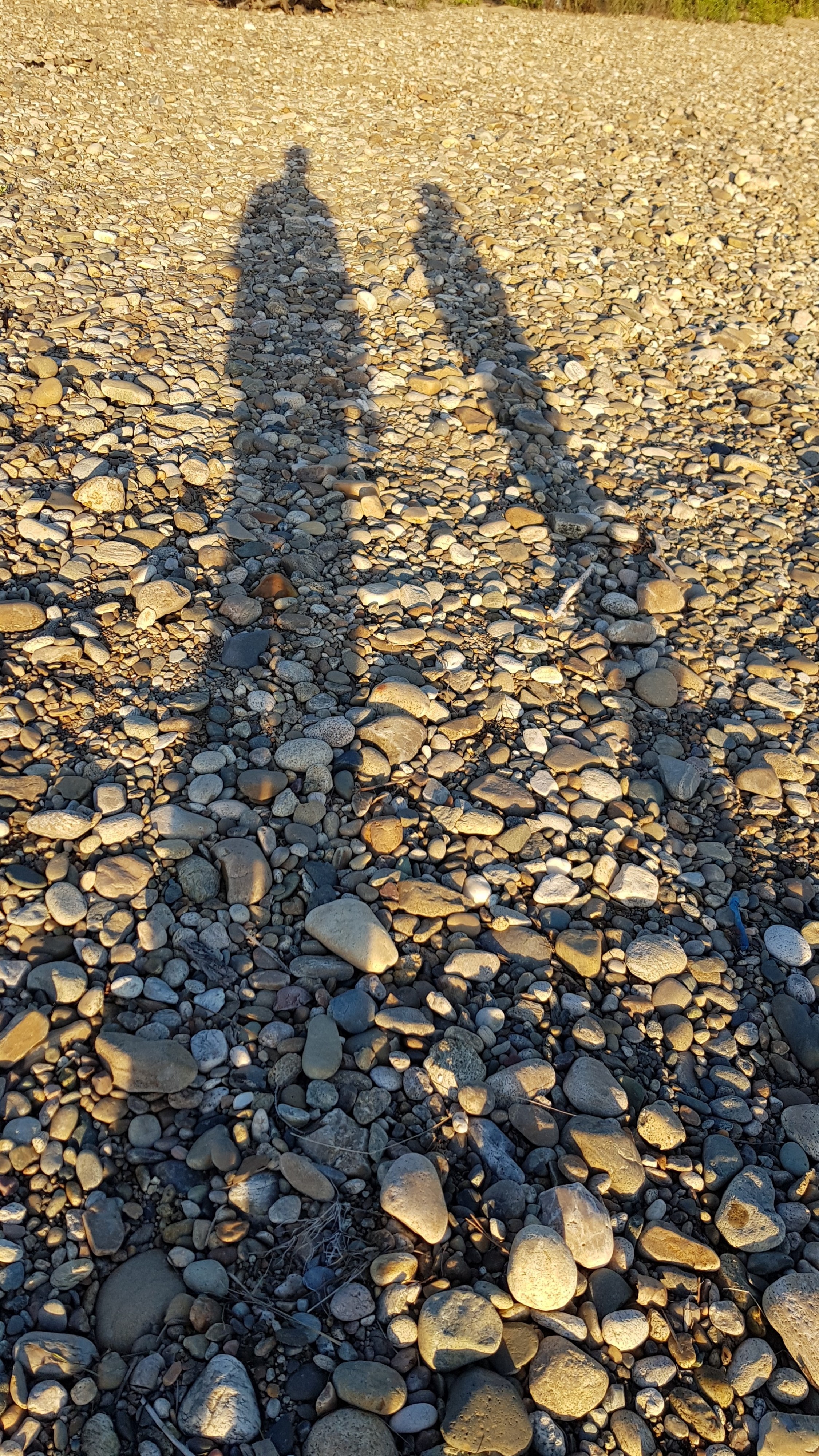 тень каменнодлинная сирёгина))))))