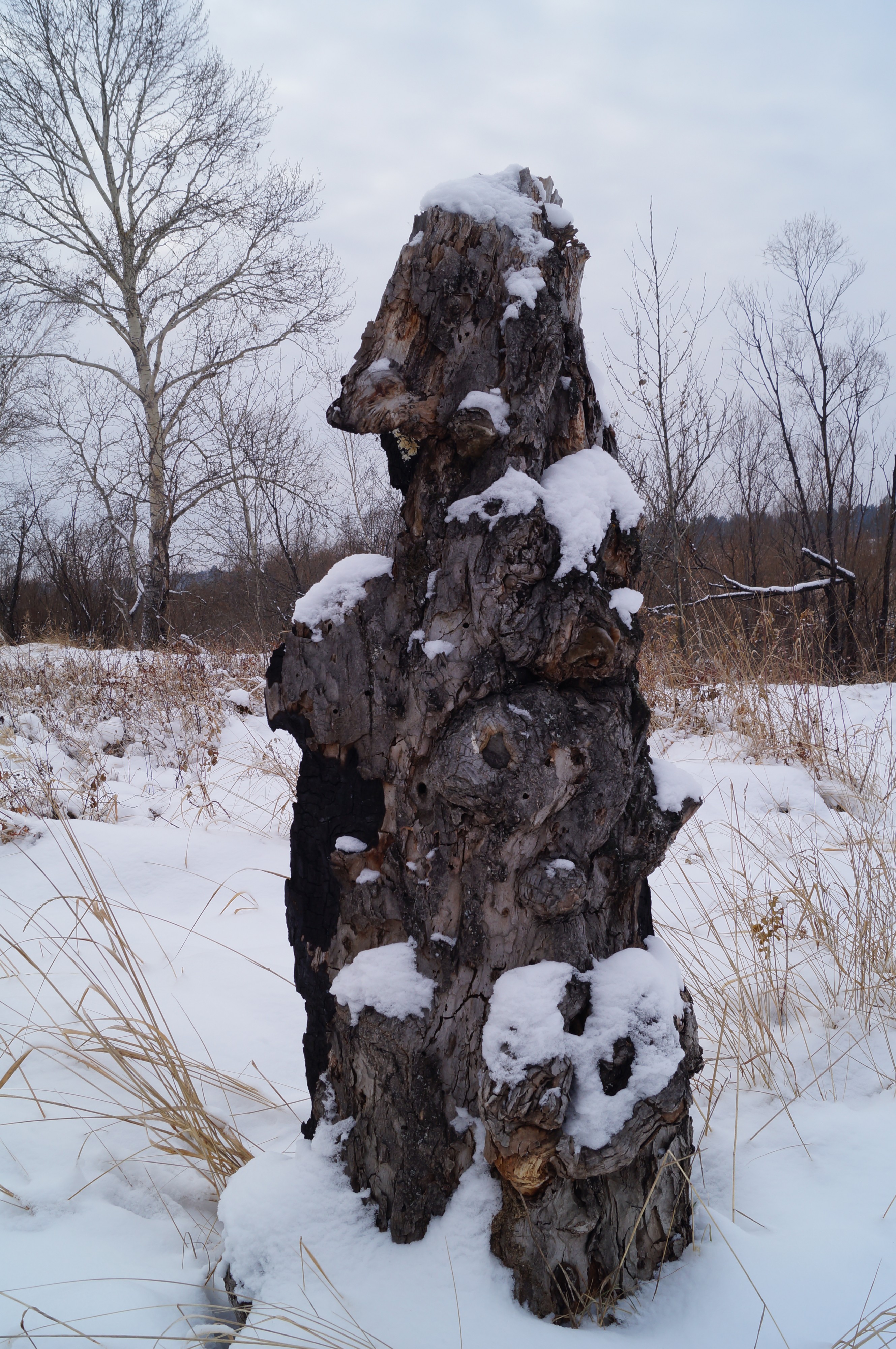 Лесной идол