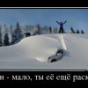 Найди и раскопай