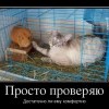 Просто проверяю