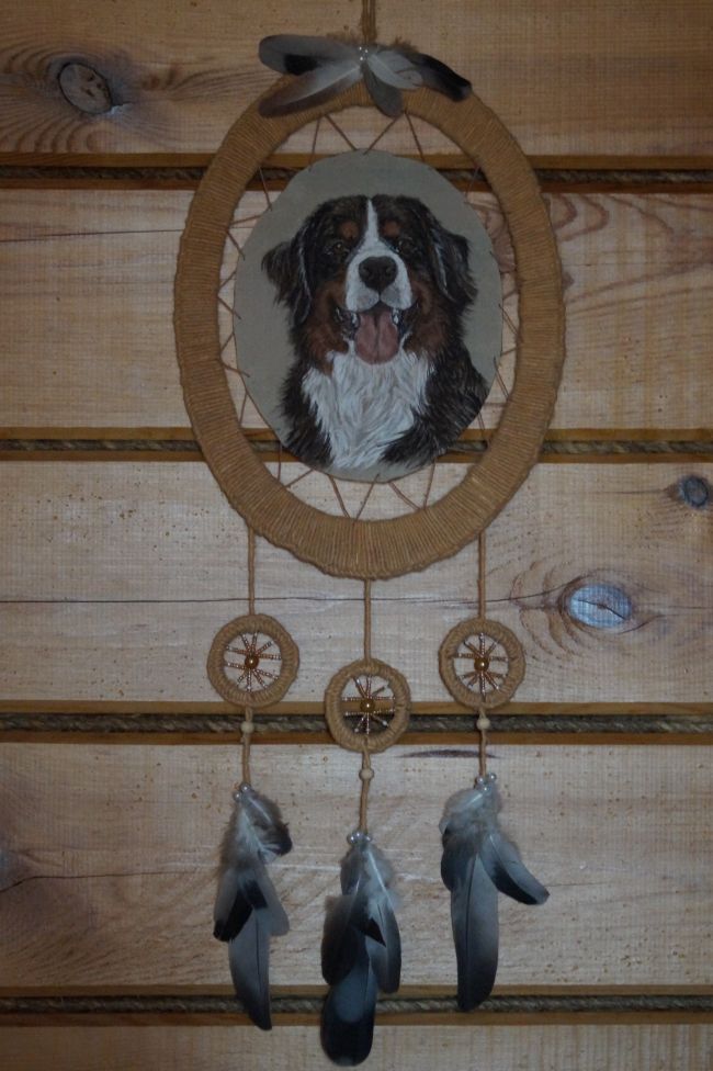 бернские зенненхунды