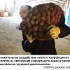 Работа,дураков любит Работа,дураков любит