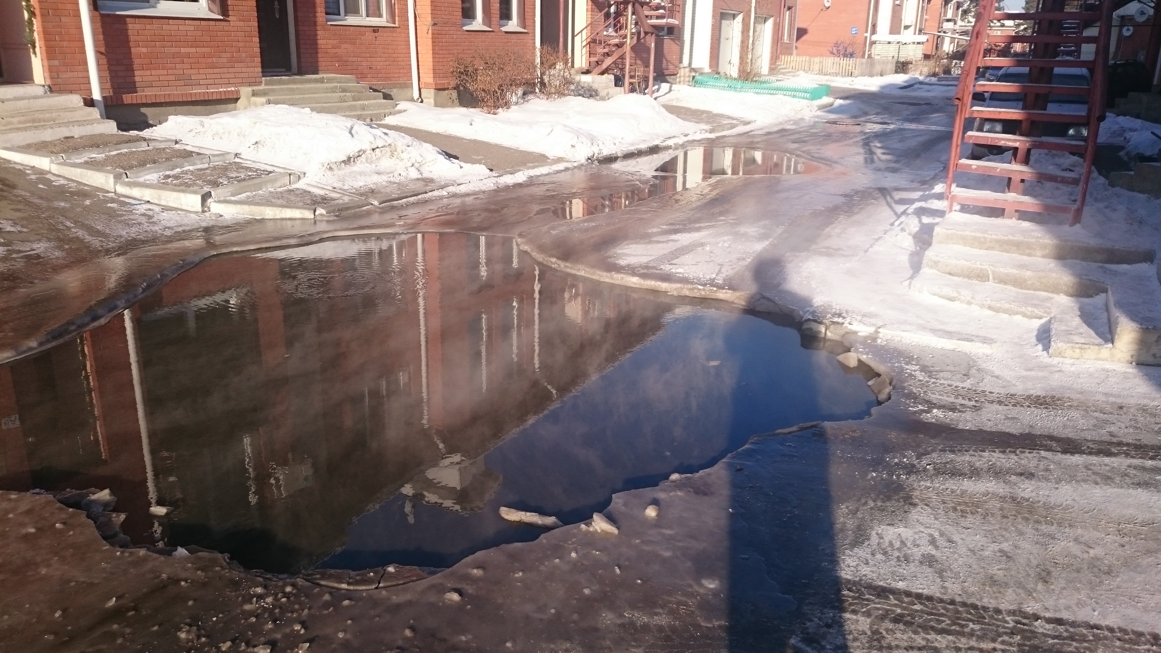 Каток во дворе