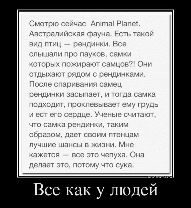 Всё как у людей