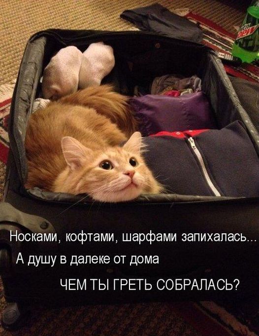 Душегрейка