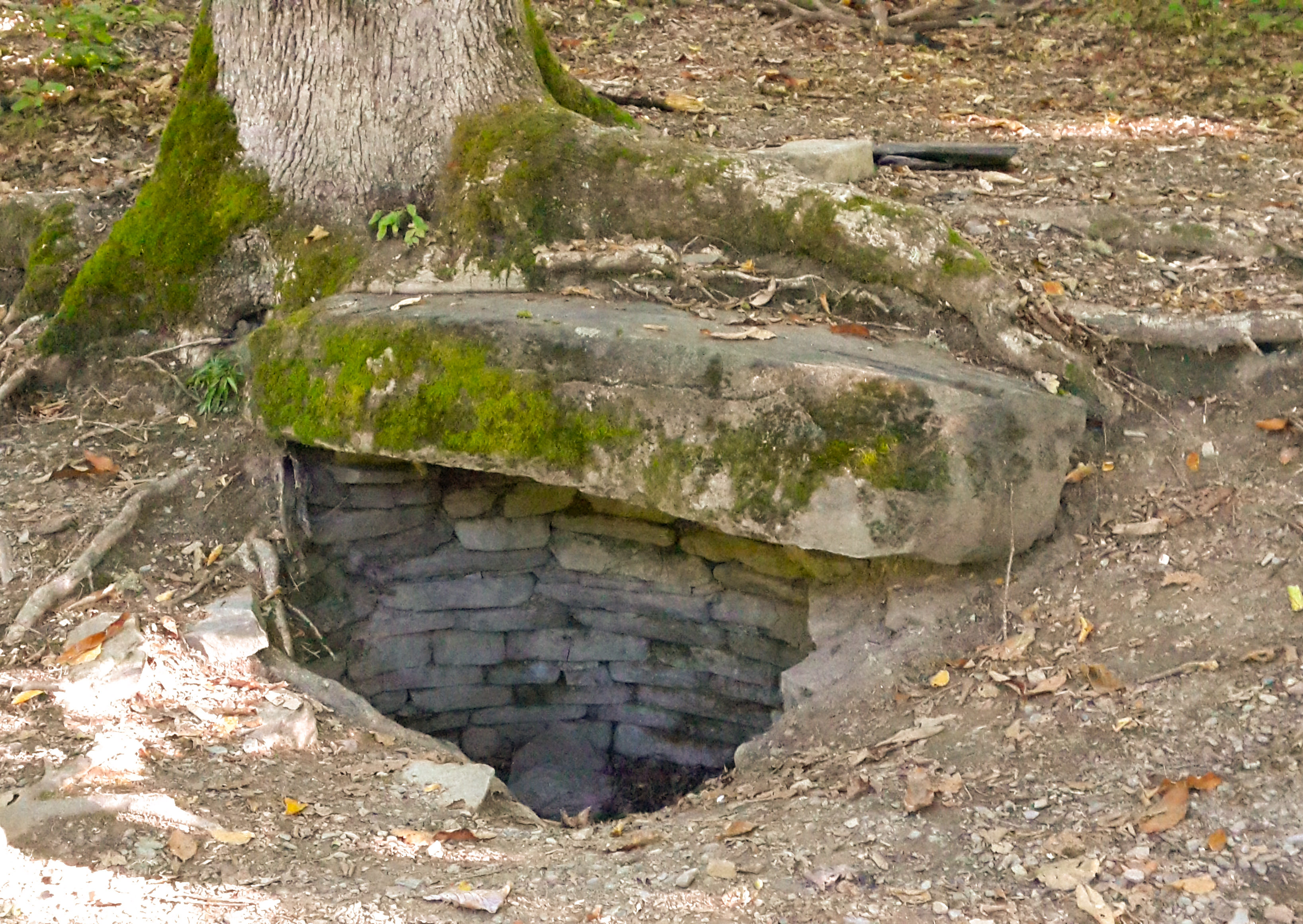 еще дольмен-колодец 