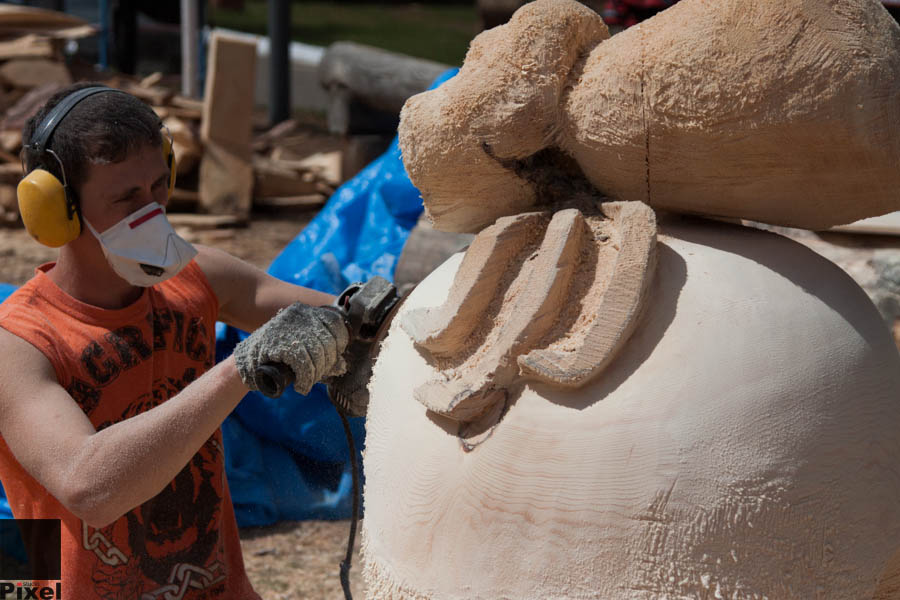 Международный фестиваль деревянной скульптуры "Лукоморье" 2013