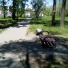 Урны переполнены. Урны переполнены.