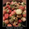 Человеческое нетерпение Человеческое нетерпение