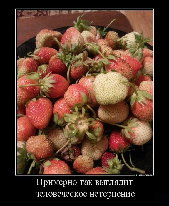 Человеческое нетерпение