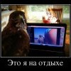 Это я на отдыхе Это я на отдыхе