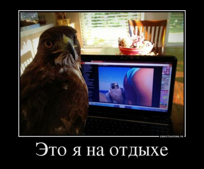 Это я на отдыхе