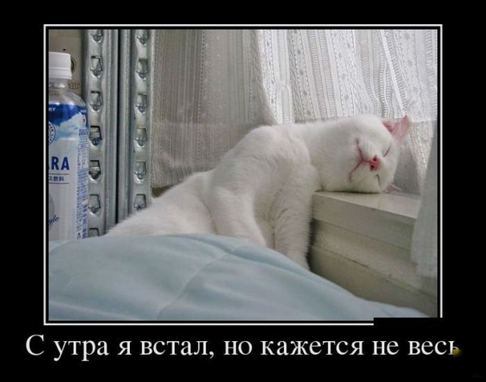 С утра-я встал