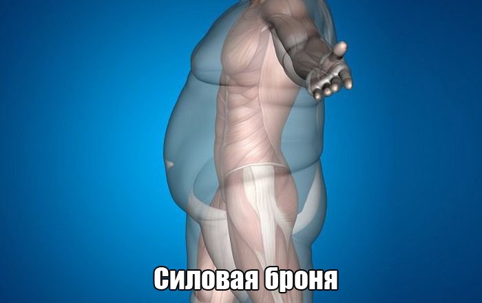 Силовая броня