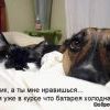 Подлиза)))