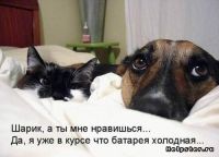 Подлиза)))