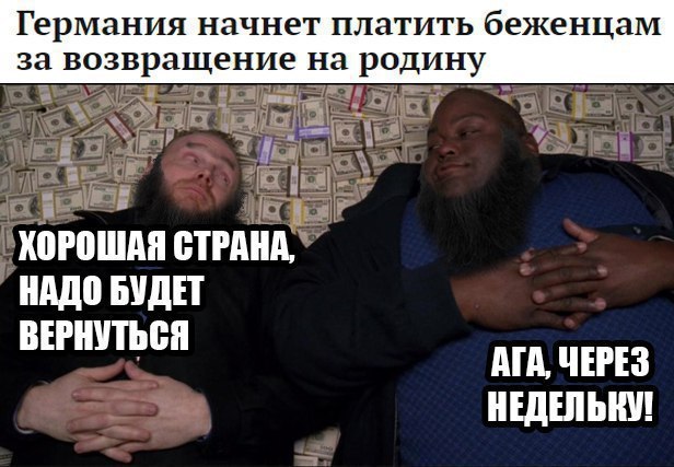 Беженцы