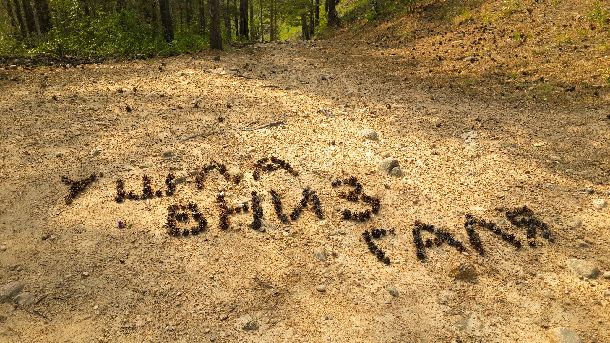 Байкальское СМС