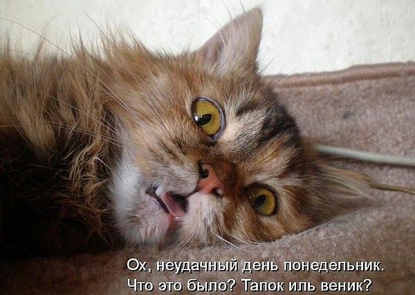 Понедельник....