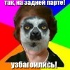 на задней парде узбагоились щасже!!!! на задней парде узбагоились щасже!!!!
