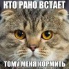 Котэ