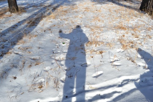 Сирёгина тень коия весело машыт рукой))))) Сирёгина тень коия весело машыт рукой)))))
