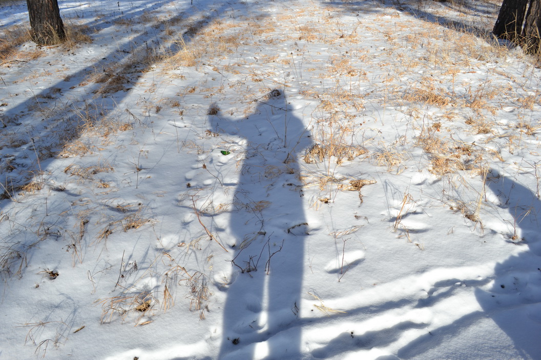 Сирёгина тень коия весело машыт рукой)))))