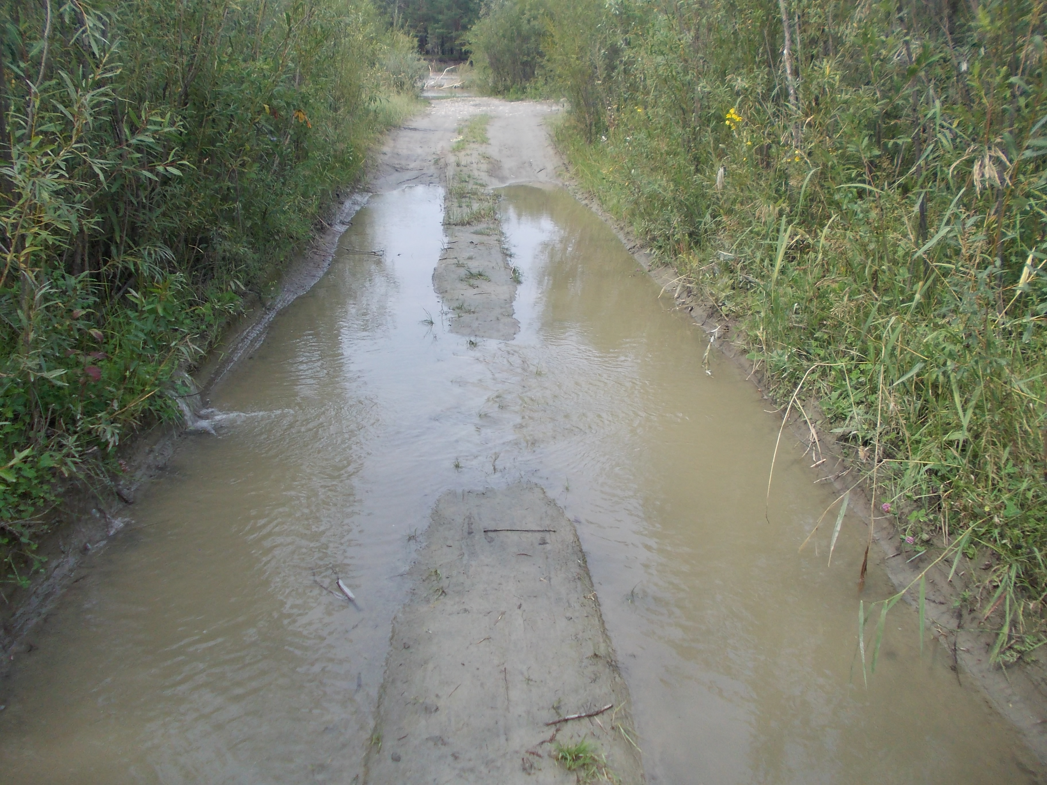 Природа разбушевалась. Чебогоры 17.08.2015. Заливает низину.