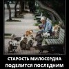 Старость милосердна Старость милосердна