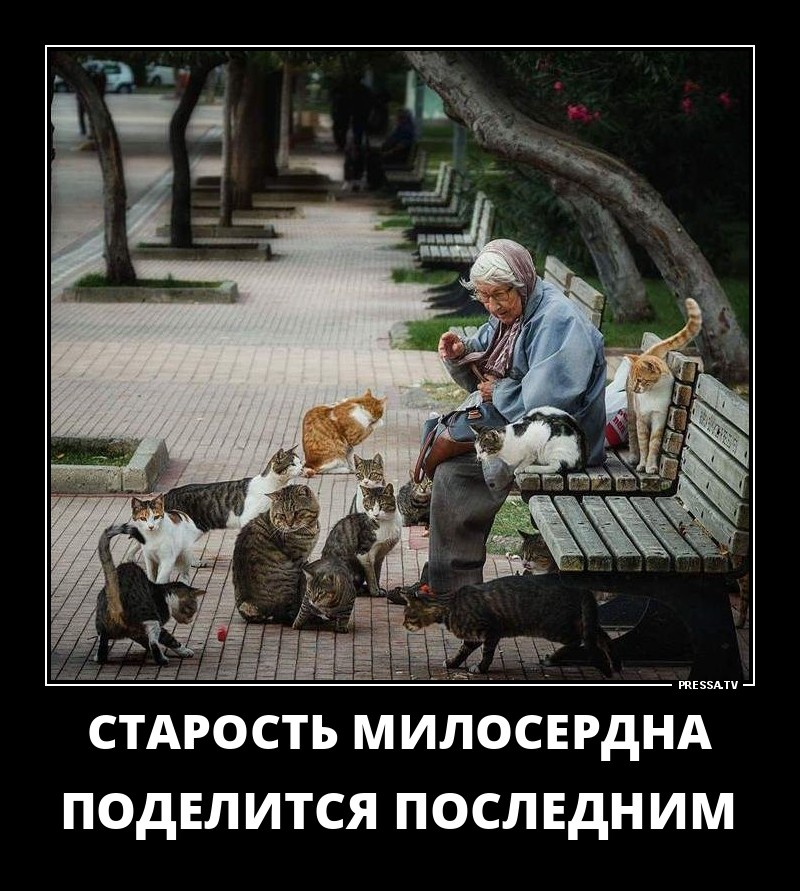 Старость милосердна