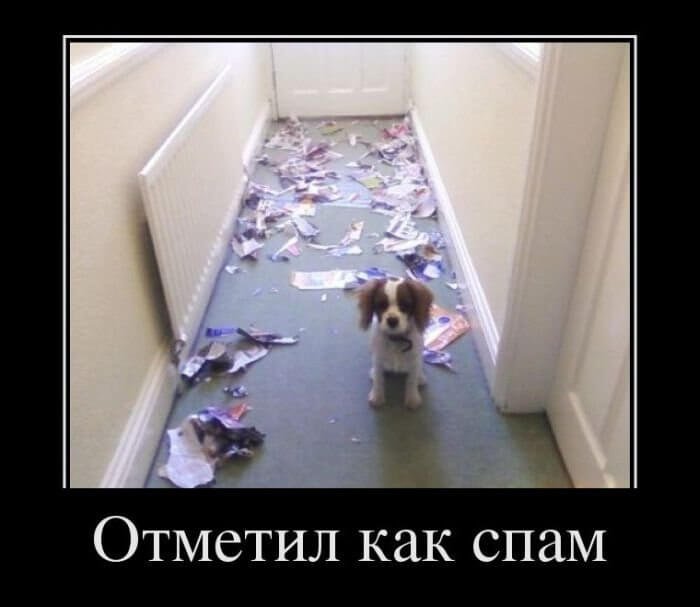 Спам