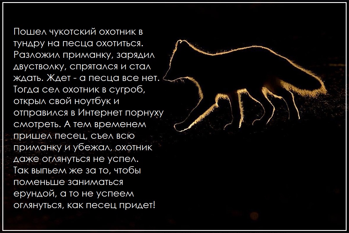Дело песца