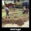Бригада