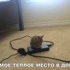 Теплое место в доме