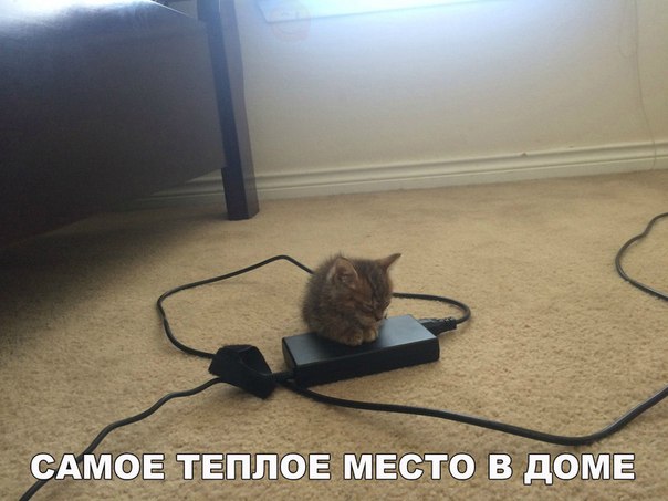 Теплое место в доме